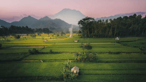 Scenic view of Mount Agung at dawn surrounded by mist and lush Balinese landscape